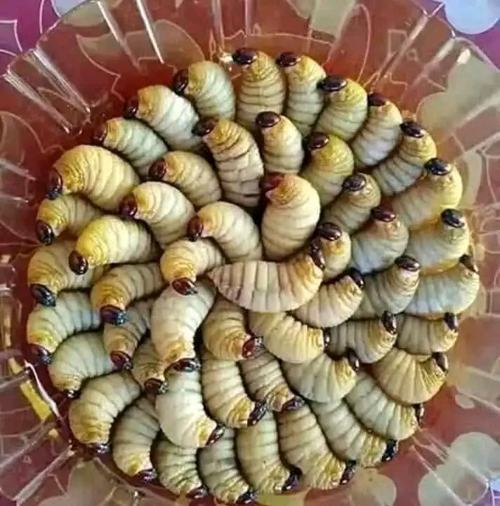 Hannetons frais