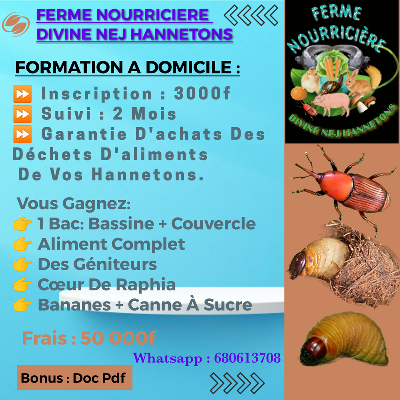Formations