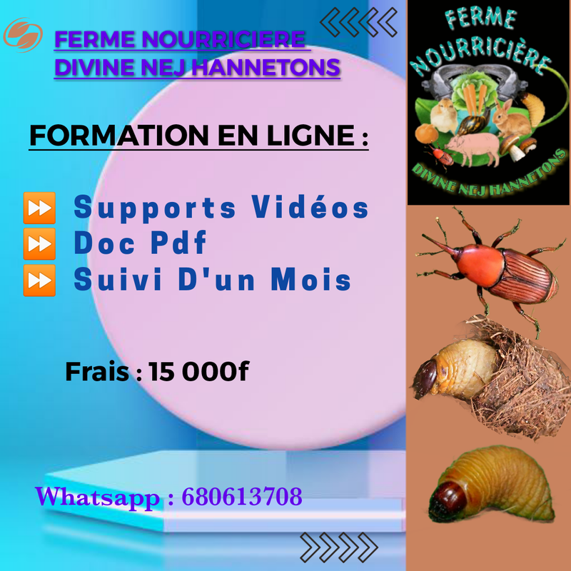 Formations